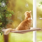 جای خواب شیشه ای بانوج گربه (1)