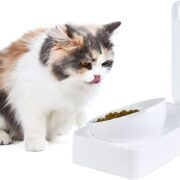 ظرف دو قلو اتوماتیک پایه دار به همراه بطری آب طرح گربه (1)