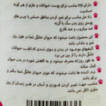 دستمال-مرطوب-60-عددی-جاسی-عکس3