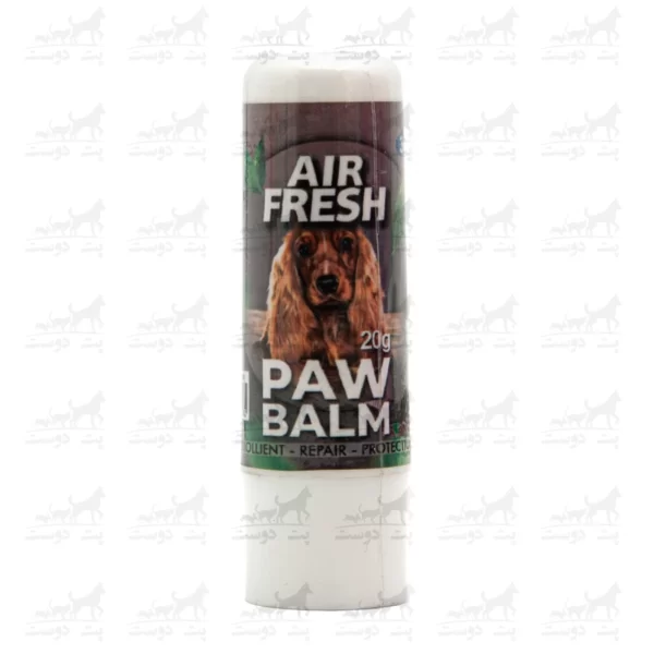 بالم پنجه سگ برند Air Fresh حاوی روغن آرگان رایحه کاکائو وزن 20 گرم