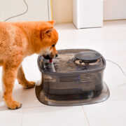 آبخوری اتوماتیک سگ و گربه مدل Shine-5