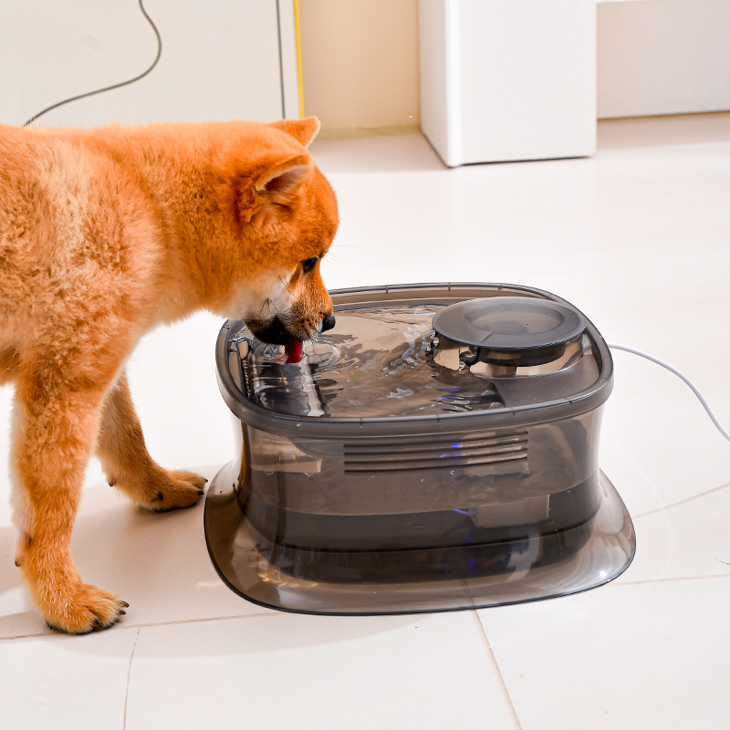 آبخوری اتوماتیک سگ و گربه مدل Shine | ظرفیت 5 لیتری با فیلتر تصفیه