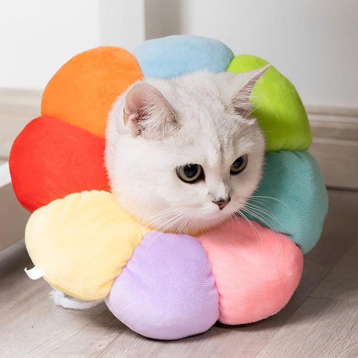 گردنبند الیزابت بالشتی گربه طرح گل رنگین کمان