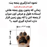 سایز کفش سیلیکونی ضدآب سگ و گربه